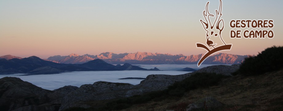 Slider pagina principal