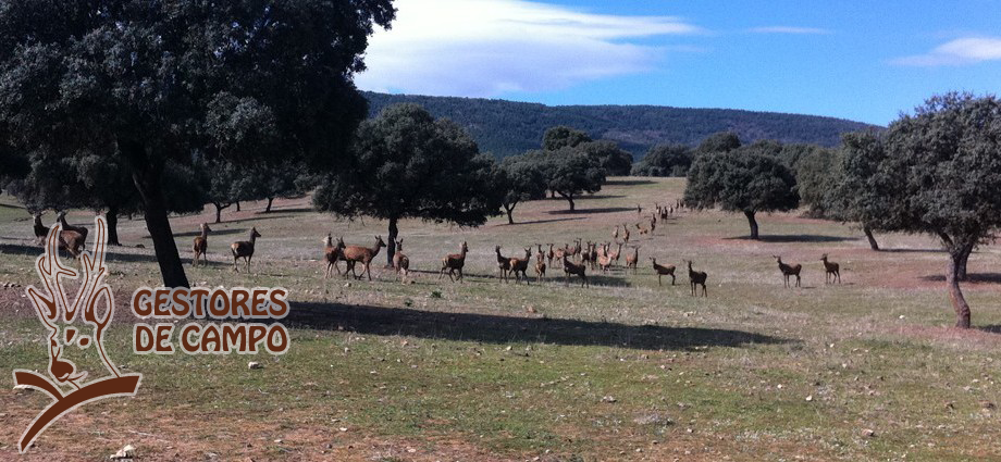 Slider pagina principal