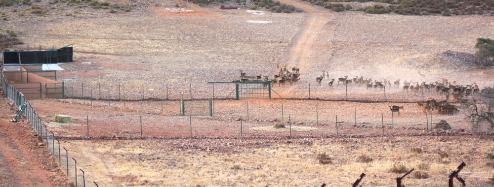 Capturaderos y módulos de manejo