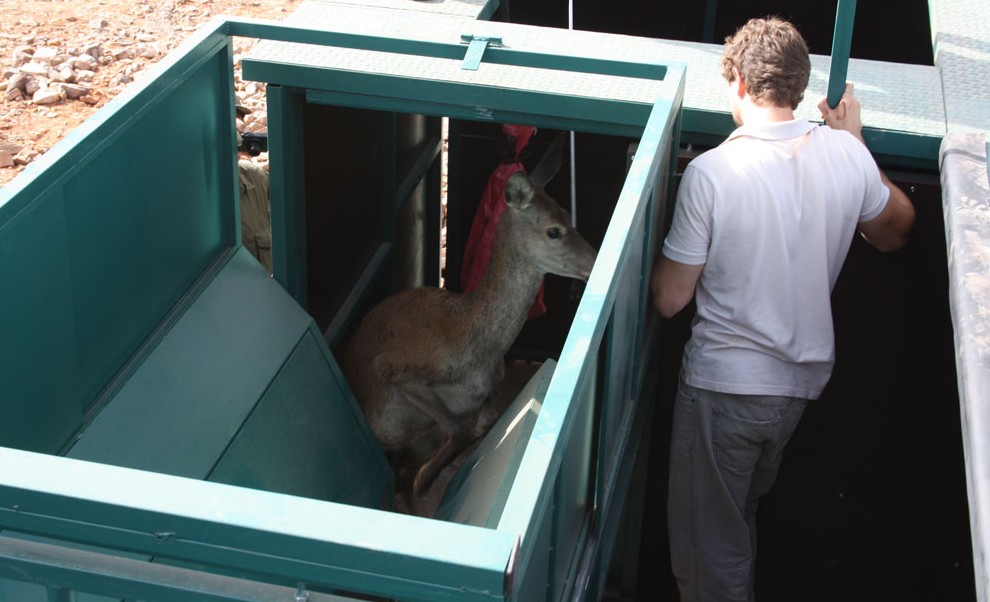 Capturaderos y módulos de manejo