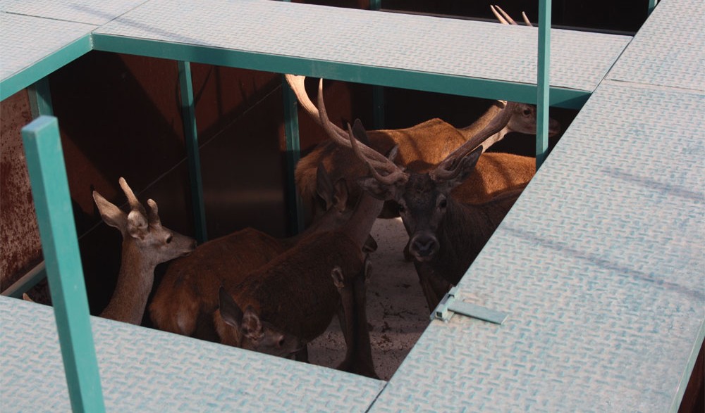 Capturaderos y módulos de manejo