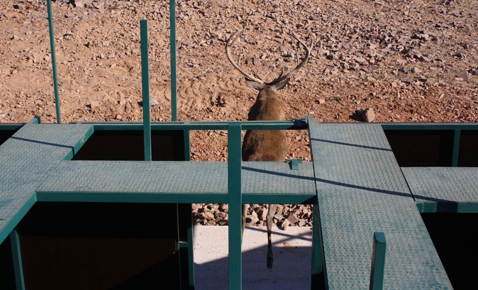 Capturaderos y módulos de manejo