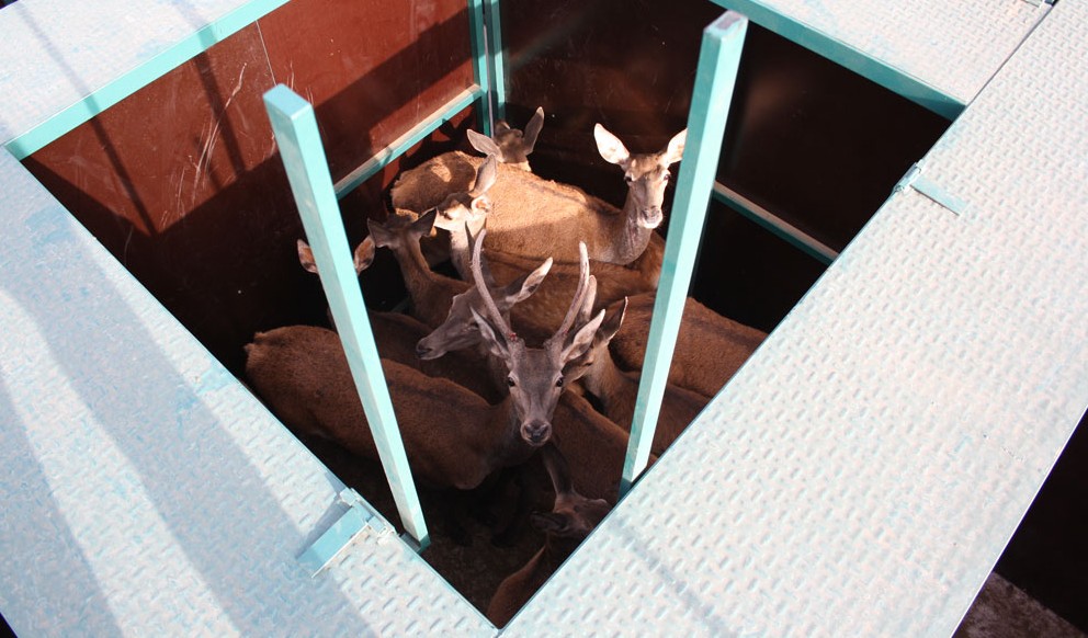 Capturaderos y módulos de manejo