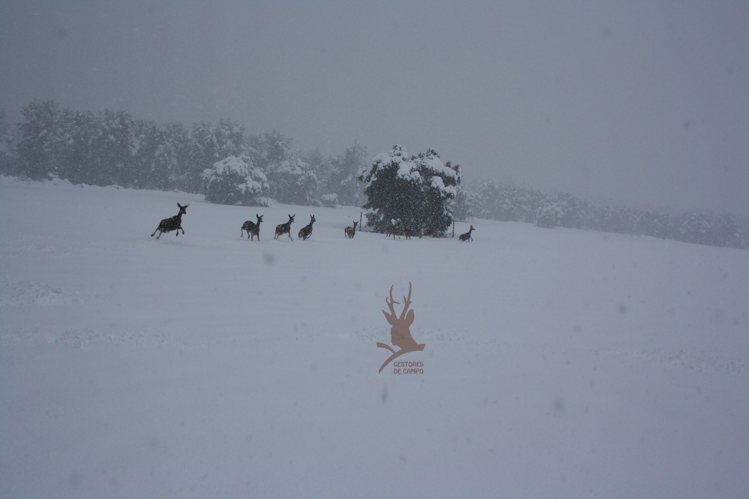 Slider pagina principal