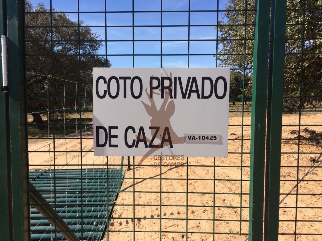 Tienda - Tablillas coto