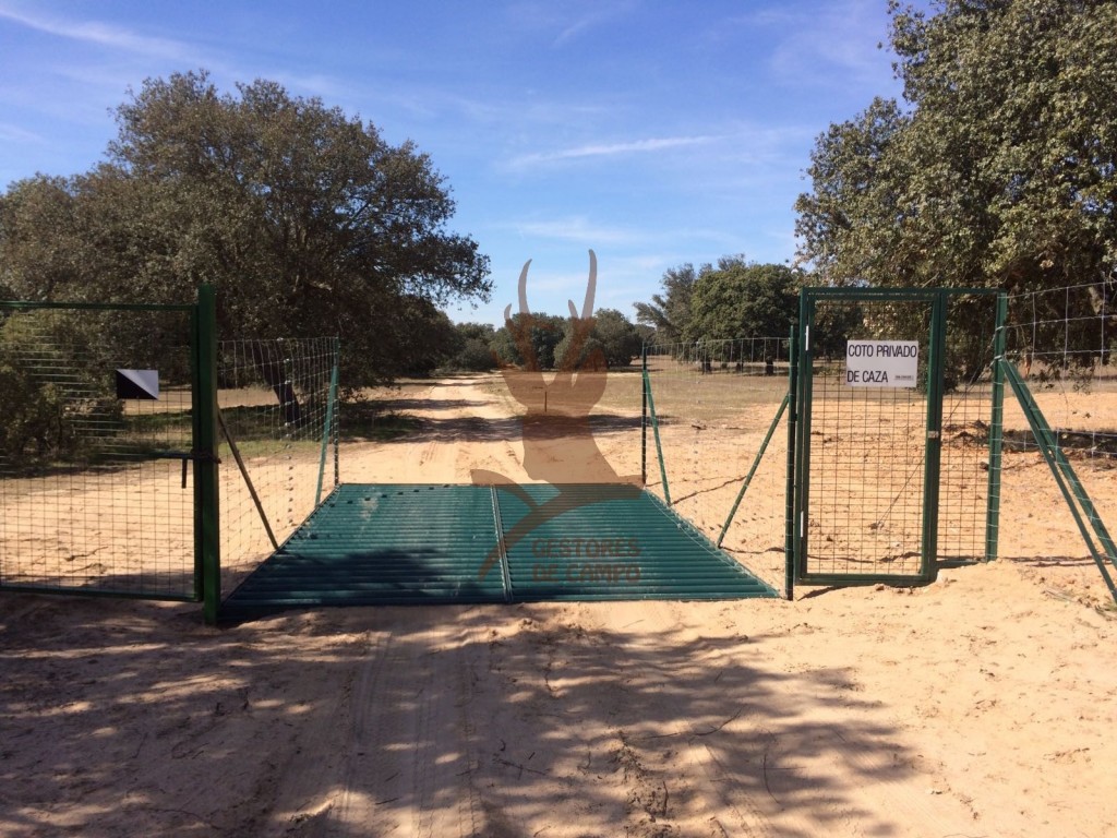 Tienda - Pasos canadienses