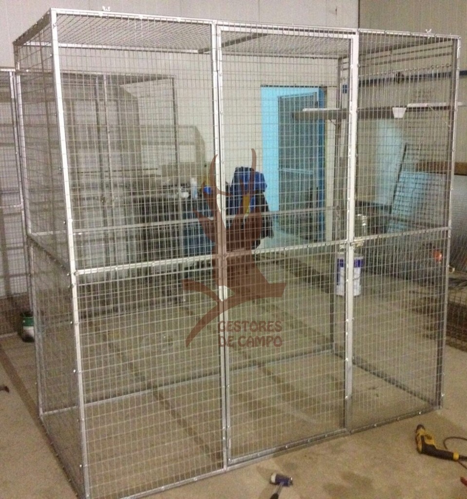 Tienda - Jaulas palomas