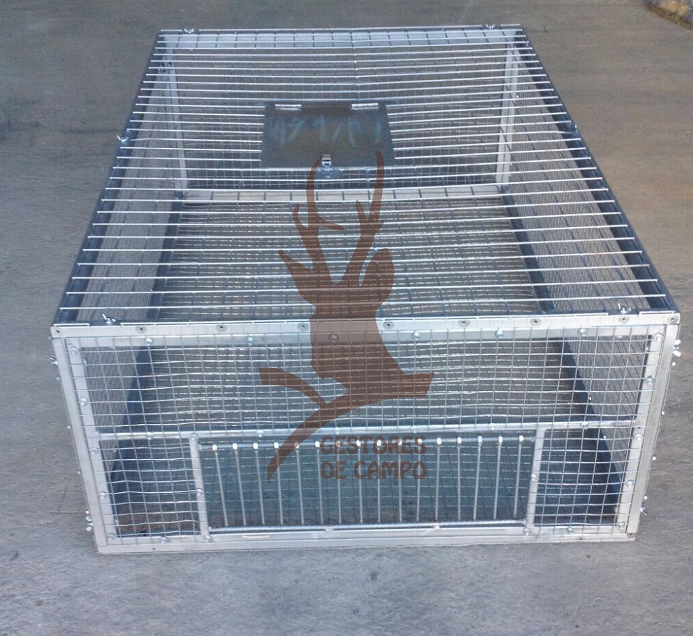 Tienda - Jaulas palomas